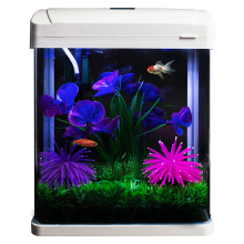 Fish tank aquarium ecological goldfish tank high-definition glass mini tropical fish creative orname